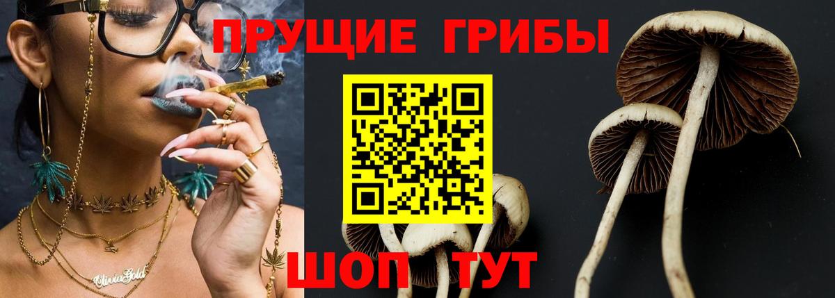 Галлюциногенные грибы Magic Shrooms Солнечногорск